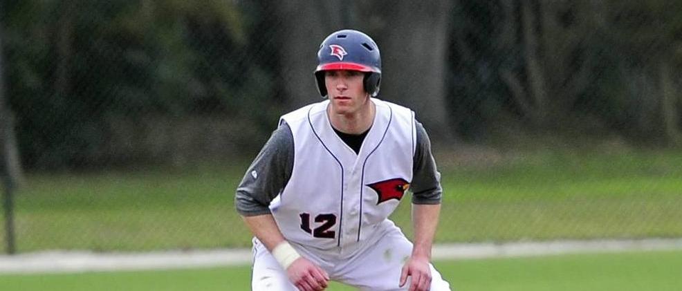 Comeback Bid Falls Short in Baseball's 4-3 Loss to Northwood