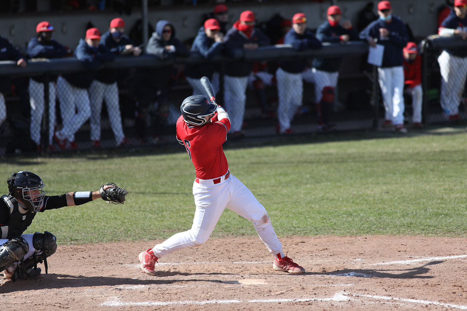 Cardinals split wild DH with Panthers to close series
