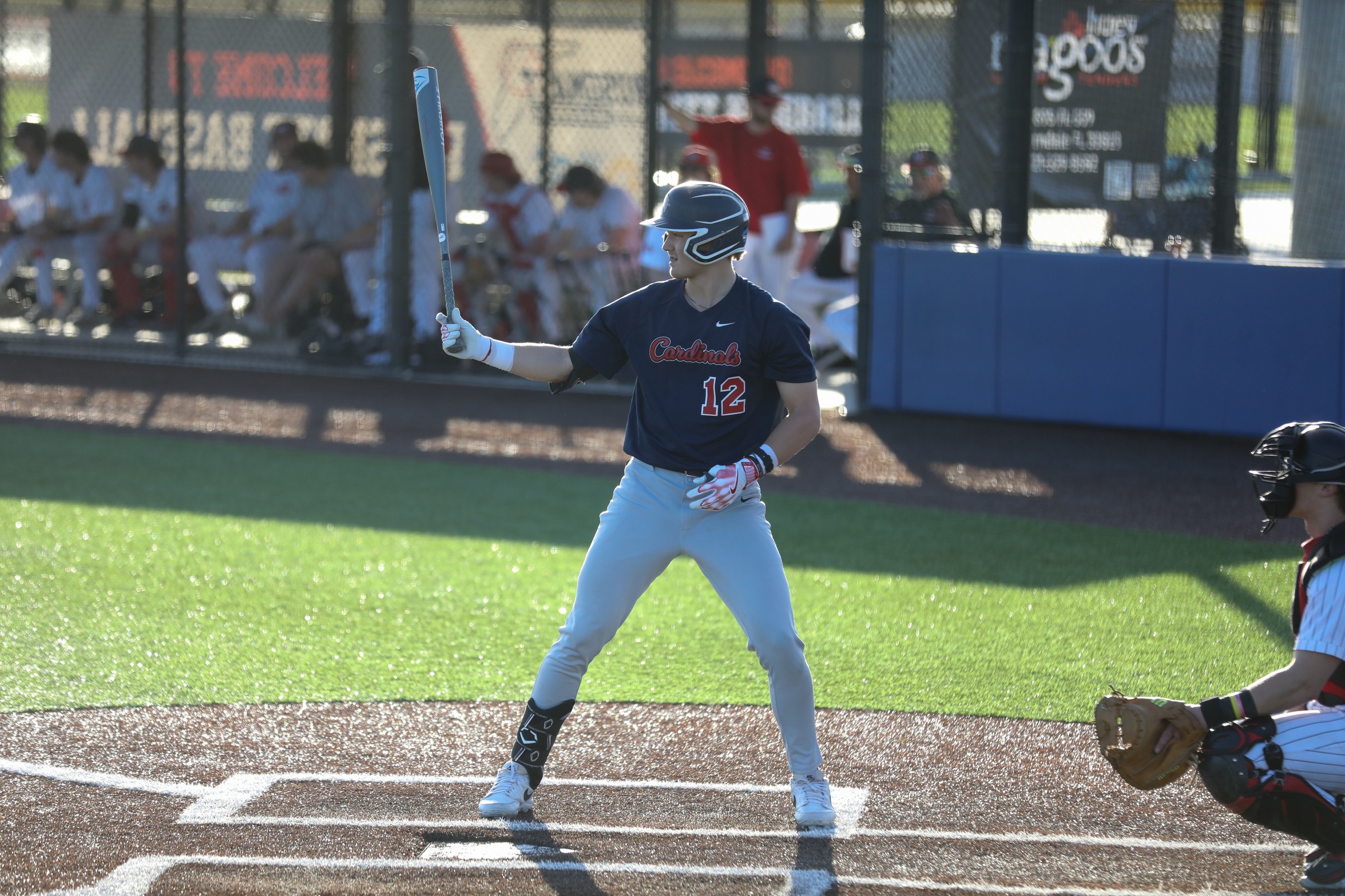 Cardinals Launch Seven Home Runs in Doubleheader Sweep