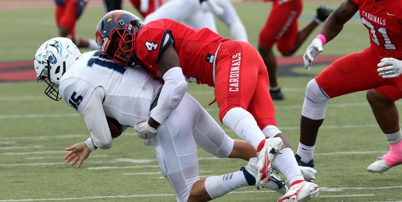 Photo Credit: Terry Lewis/SVSU Athletics