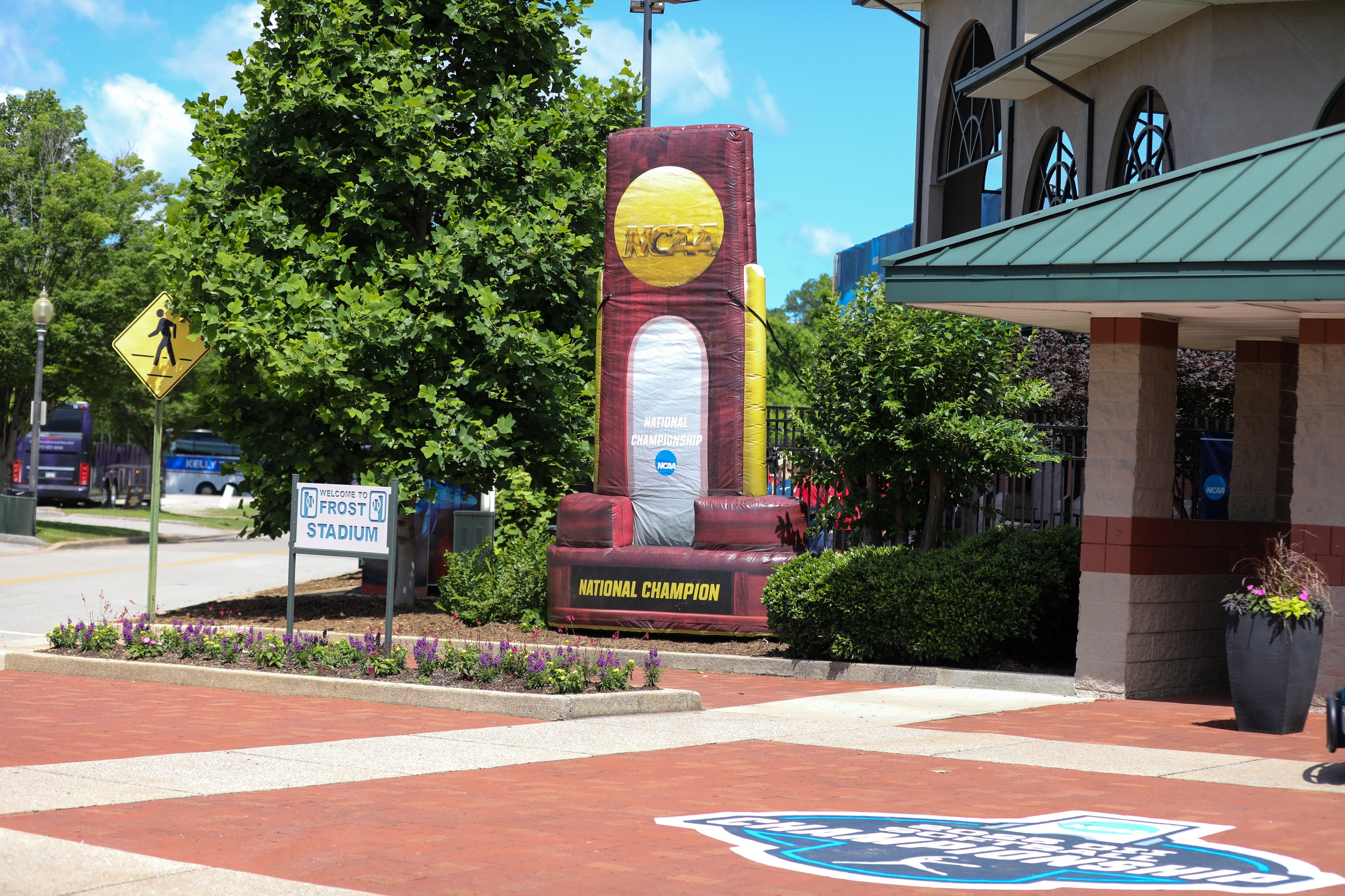 Softball Begins NCAA DII Softball Championship Against North Georgia
