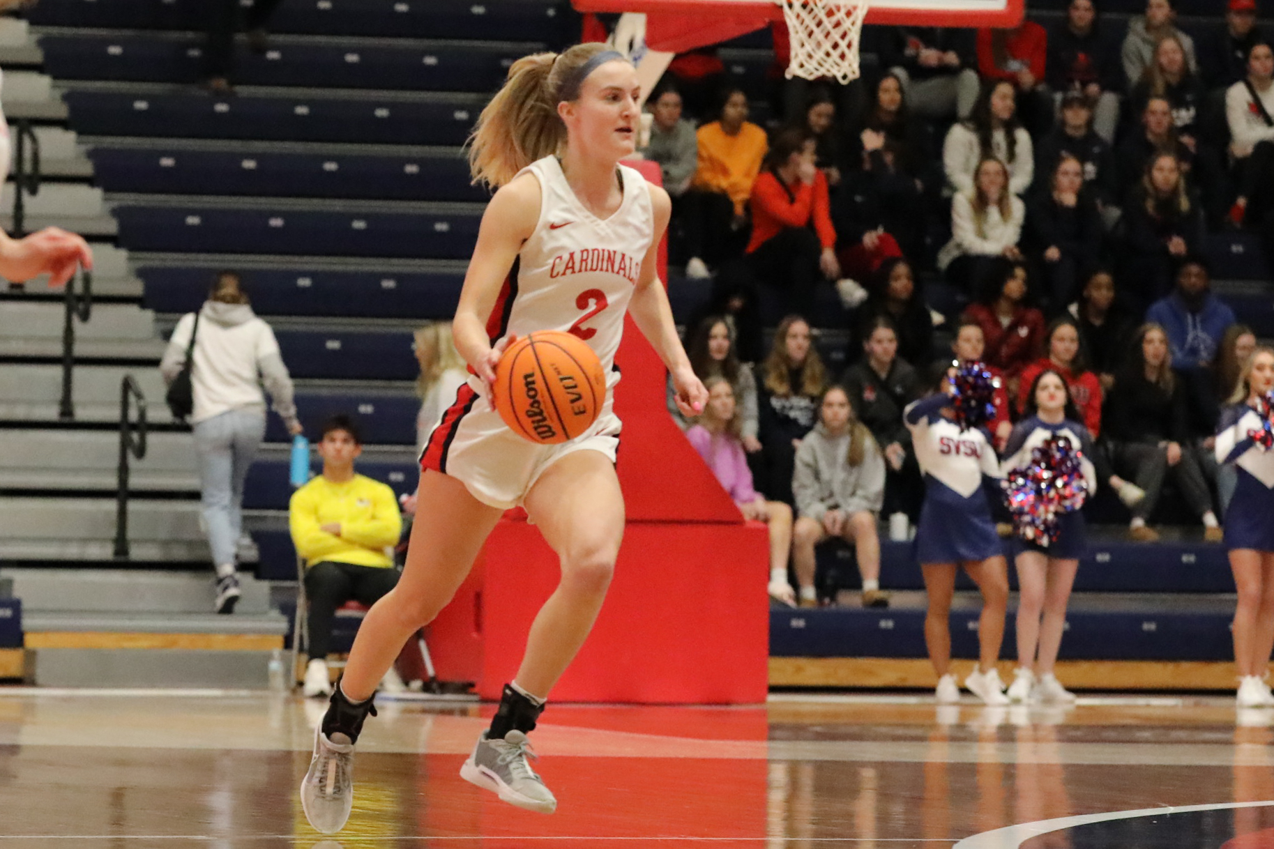 Cardinals Fall Against Grand Valley