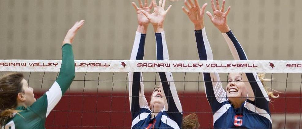 Cardinals Take GLIAC Match From Dragons, 3-1
