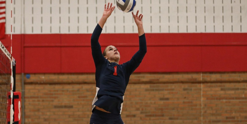 Cardinals drop home match to Wildcats