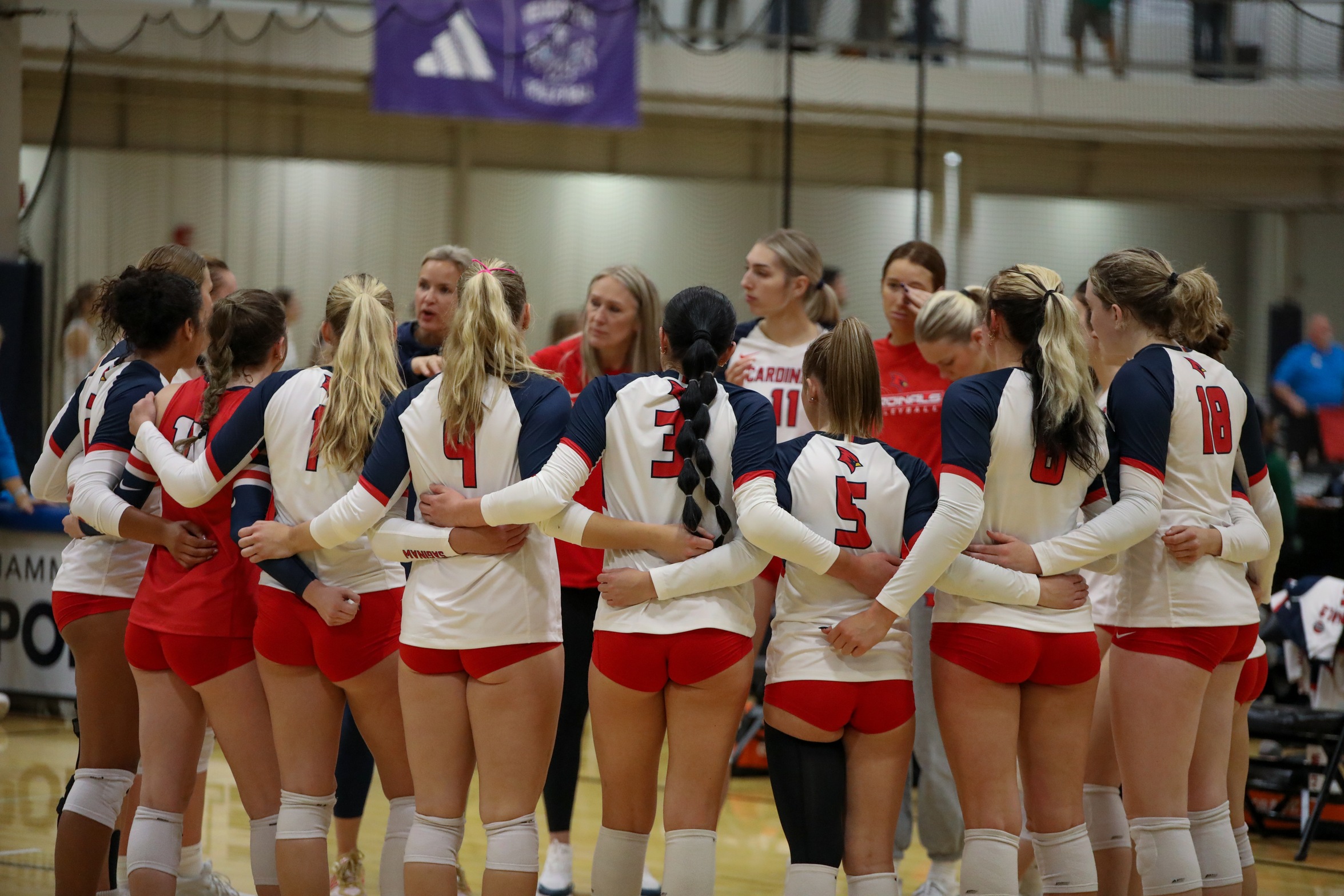 Cardinal Fall to Lake Erie to Conclude Midwest Regional Crossover