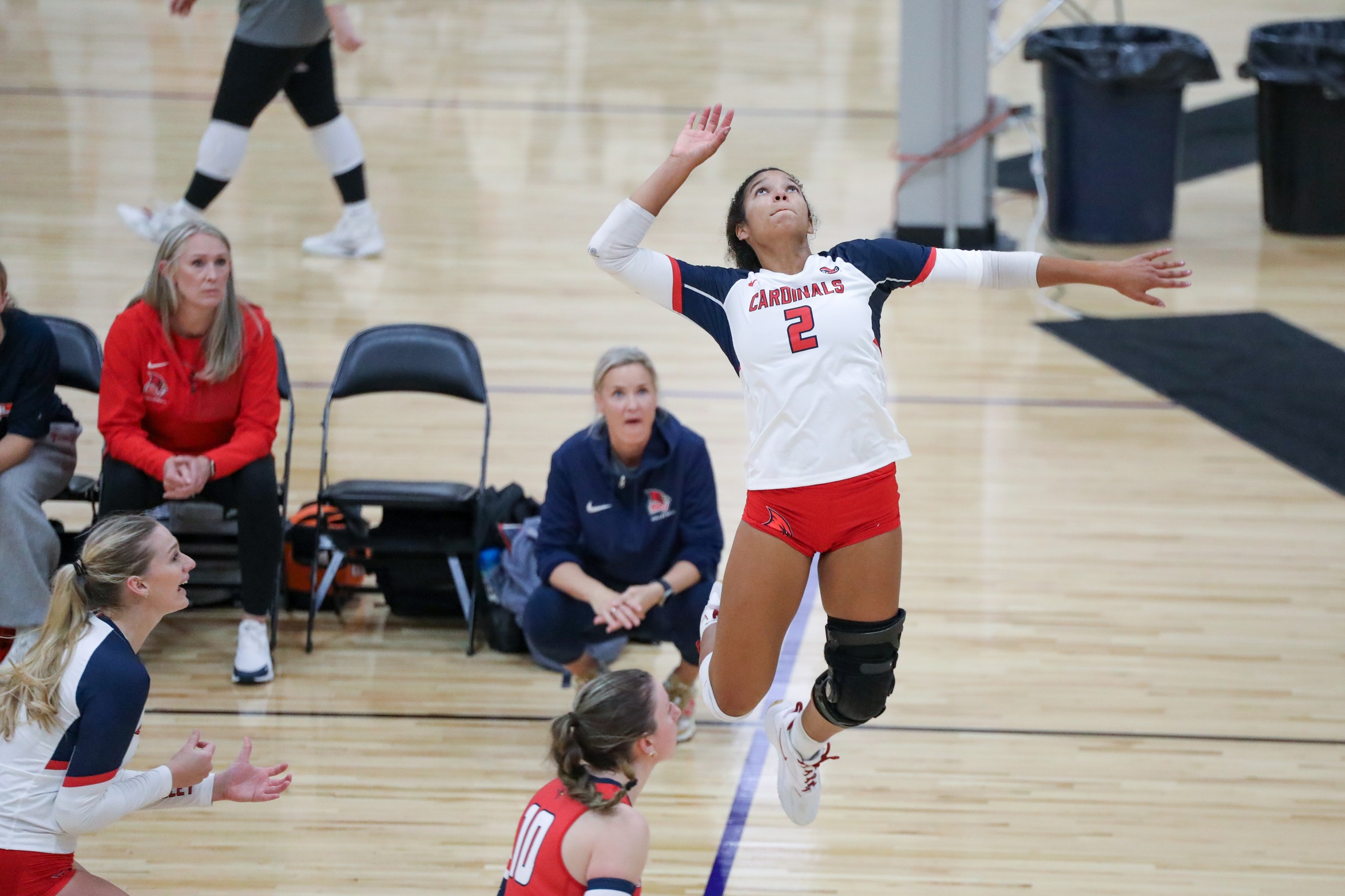 Cardinals Fall to Roosevelt in Five